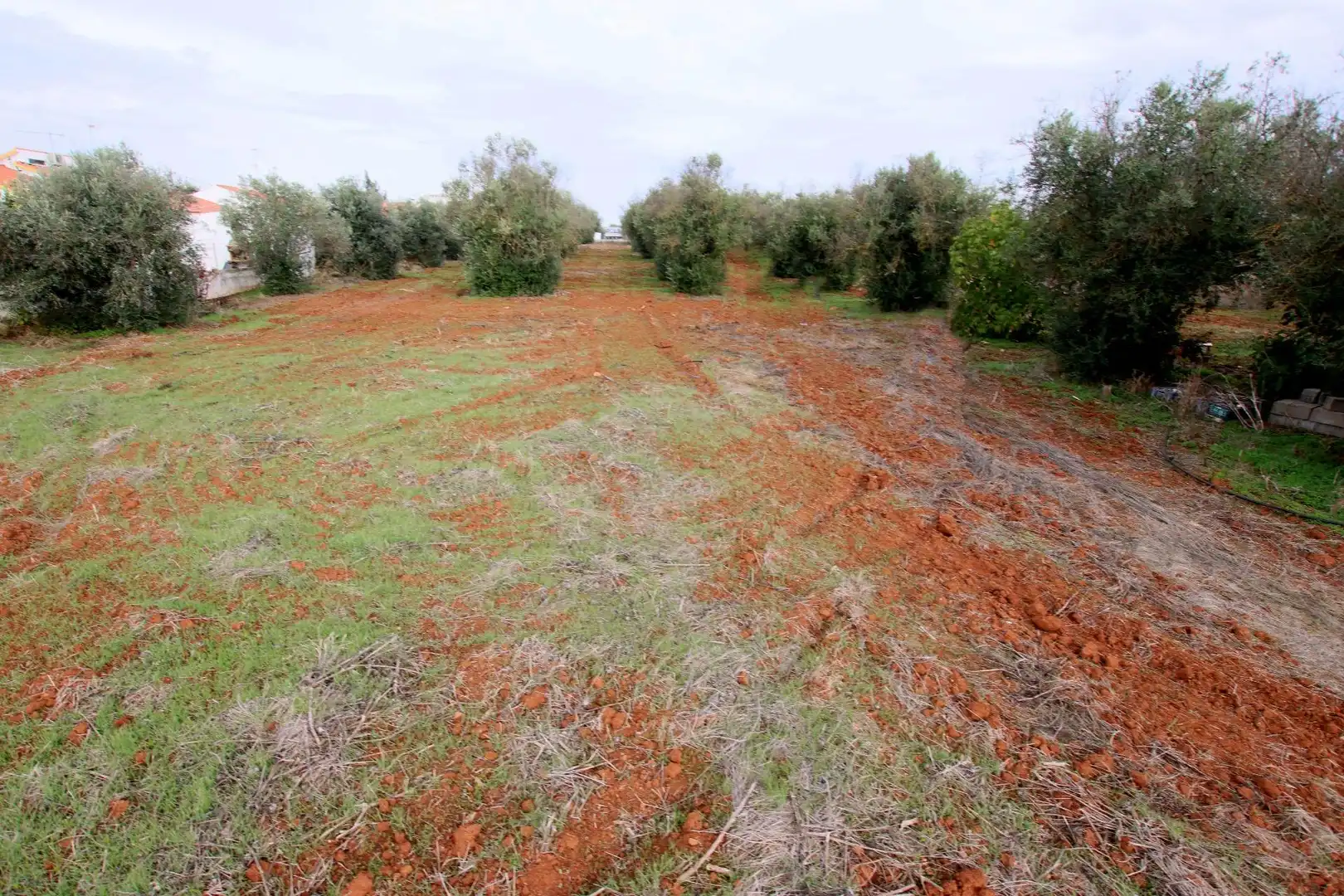 Terreni e lotti in vendita a Montijo