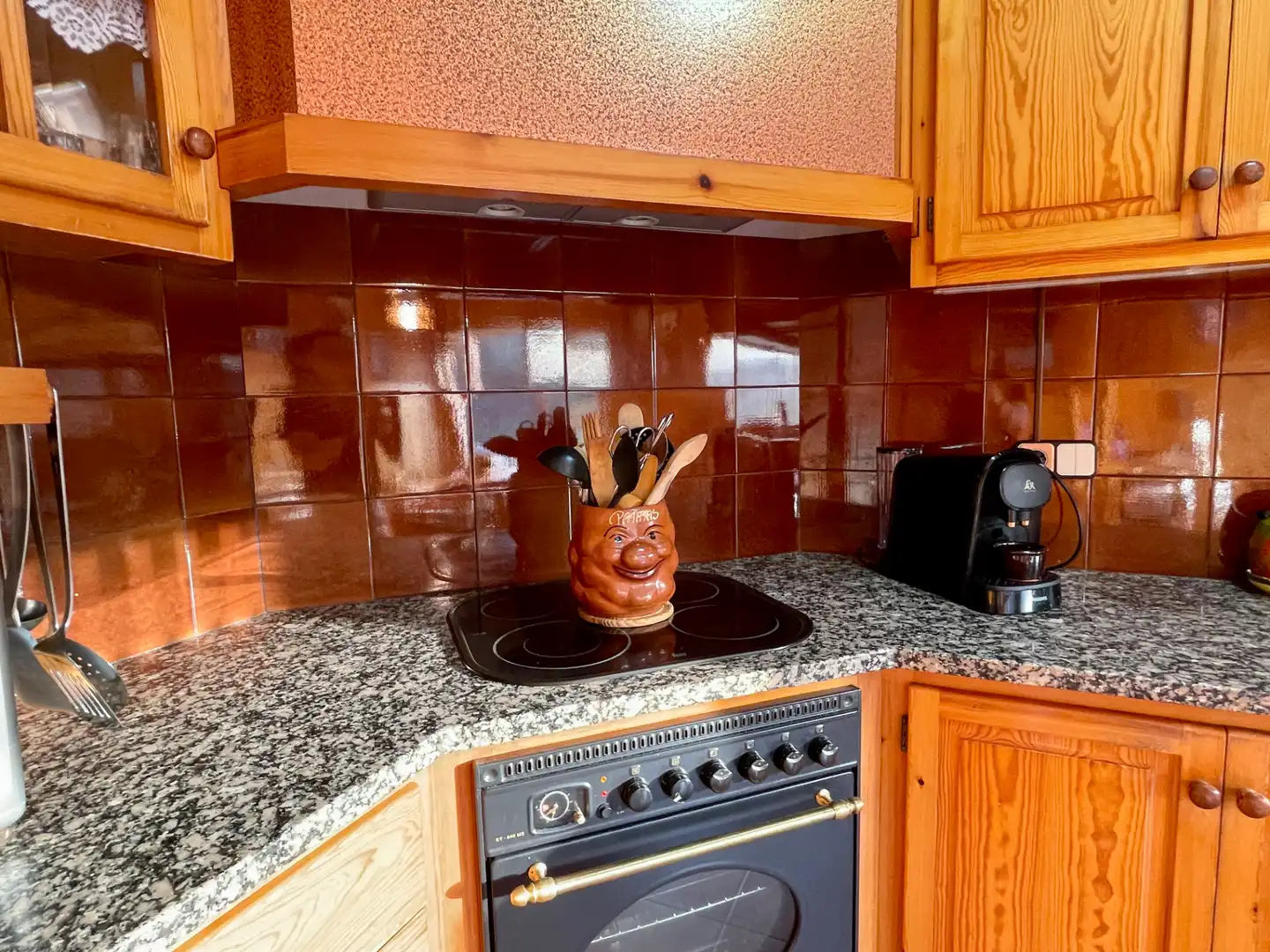 Cocina de Casa o chalet en venta en Sant Pau de Segúries con Aire acondicionado, Jardín privado y Terraza
