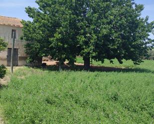Residential for sale in Guardamar del Segura