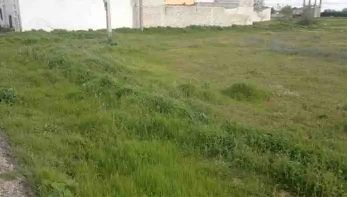 Terrenys i solars en venda a Pj Carretera, Pg 22, Parc 8, imagen 8
