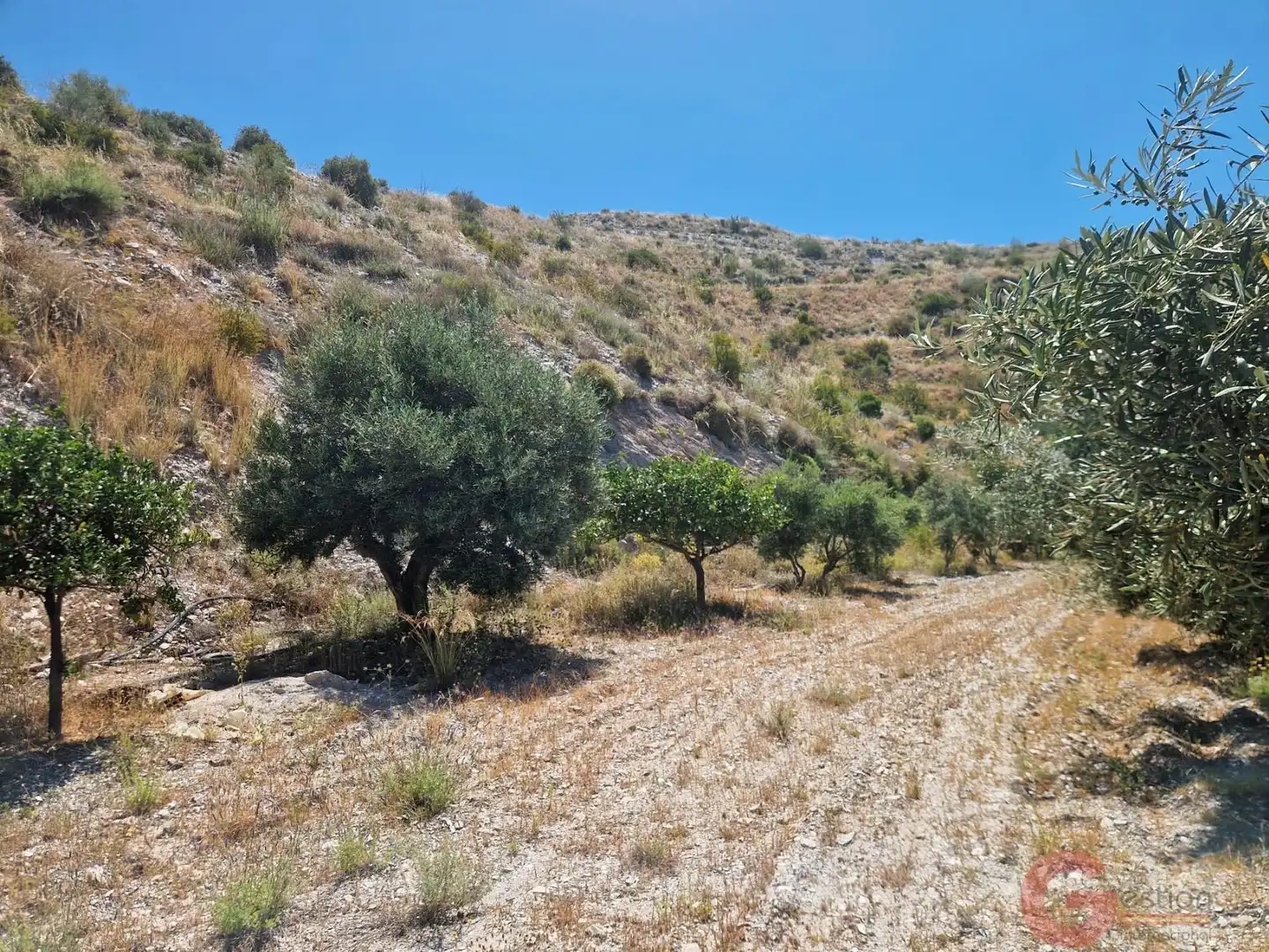 Casa rustica in vendita a Los Tablones - La Garnatilla, imagen 22
