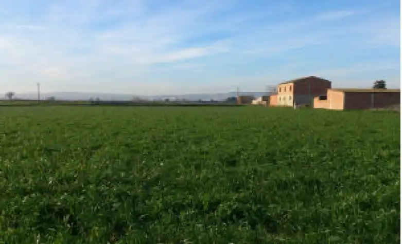 Land for sale in Zaragoza