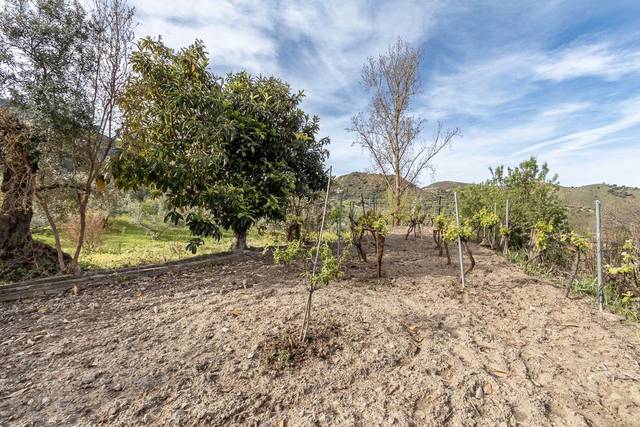Terreno en Venta en Calle Emilio Aragon, 12 en Monachil pueblo