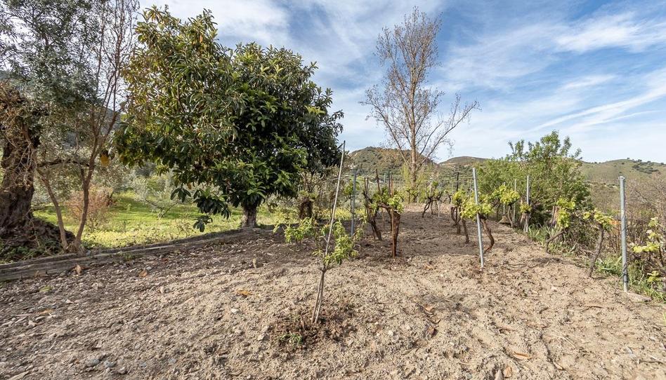 Foto 1 de Terreno en venta en Calle Emilio Aragon, 12, Monachil pueblo, Granada
