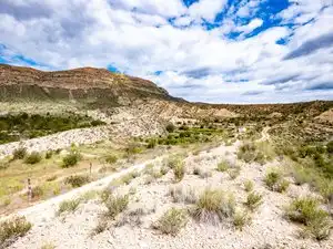 Vista exterior de Finca rústica en venta en Agost con Jardín privado, Terraza y Piscina
