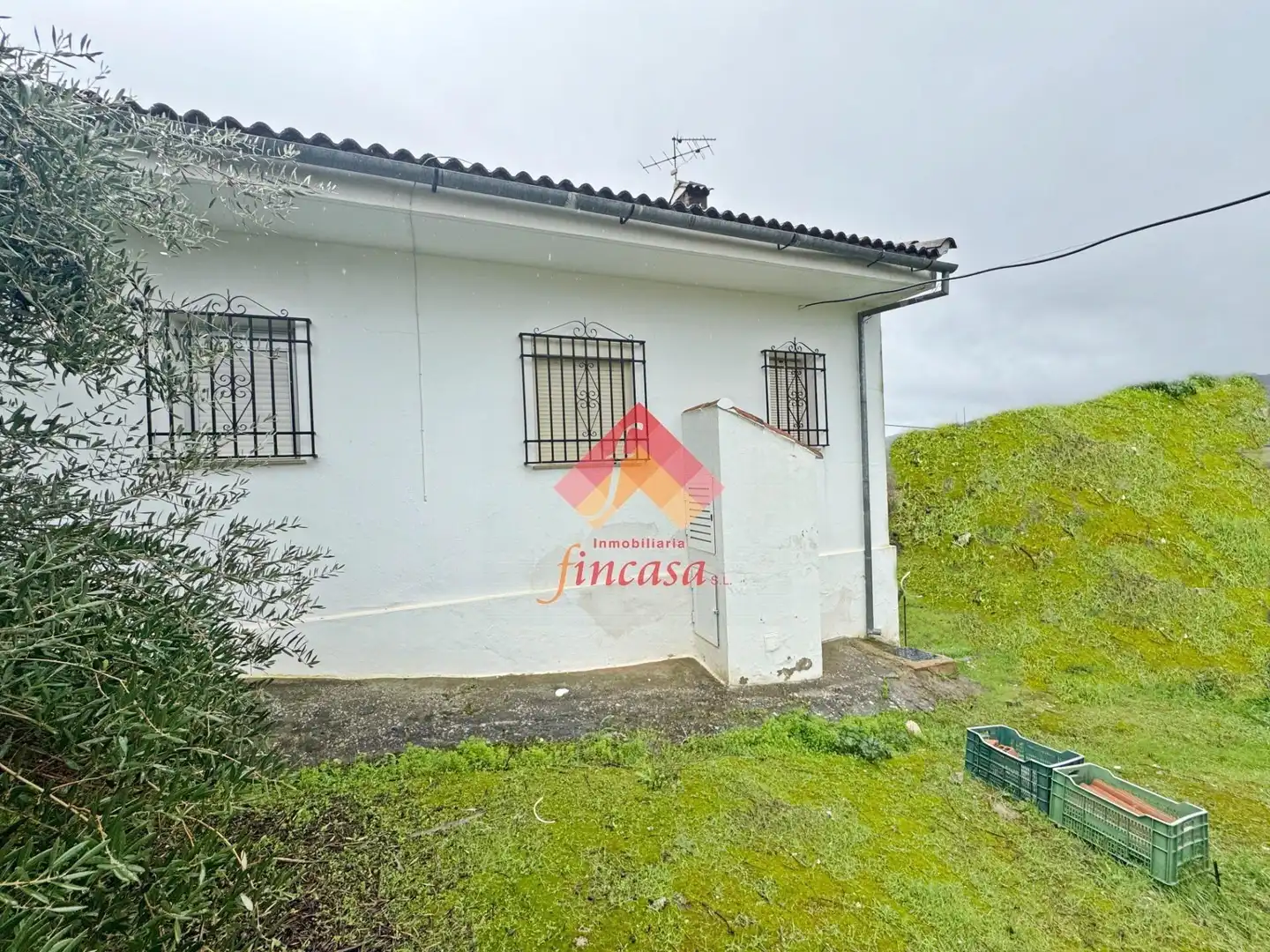 Vista exterior de Finca rústica en venta en Arriate con Calefacción y Jardín privado