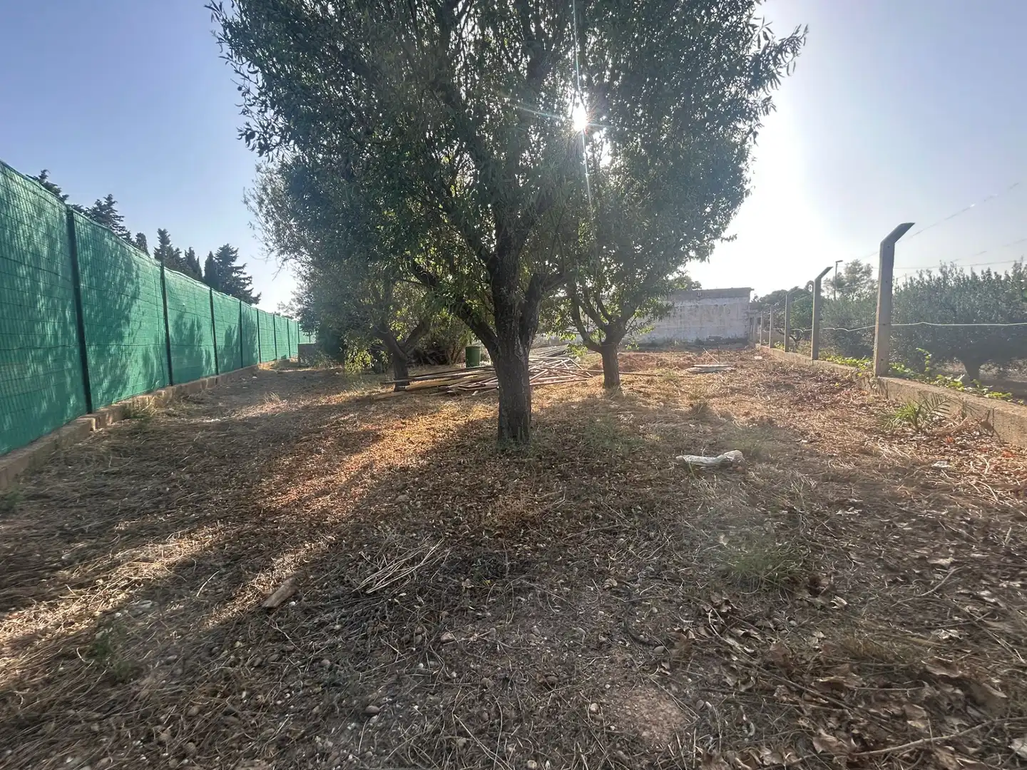 Terreno residenziale in vendita a Pedanías Este, imagen 5