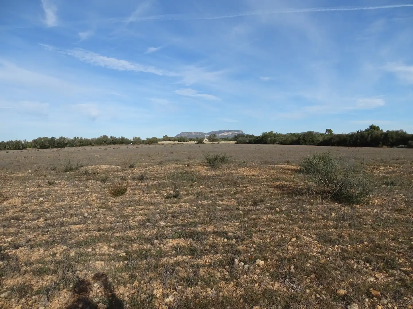 Terreno rustico in vendita a Llucmajor pueblo, imagen 9