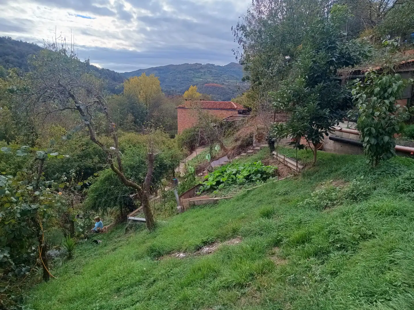 Casa o xalet en venda en Laviana amb Calefacció, Jardí privat i Moblat