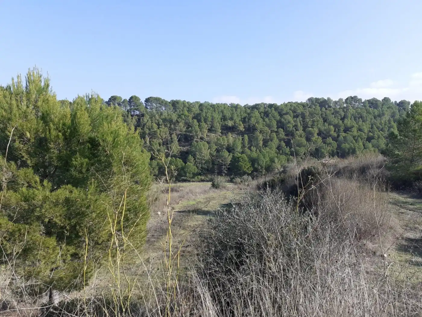 Finca rústica en venda en Ginestar