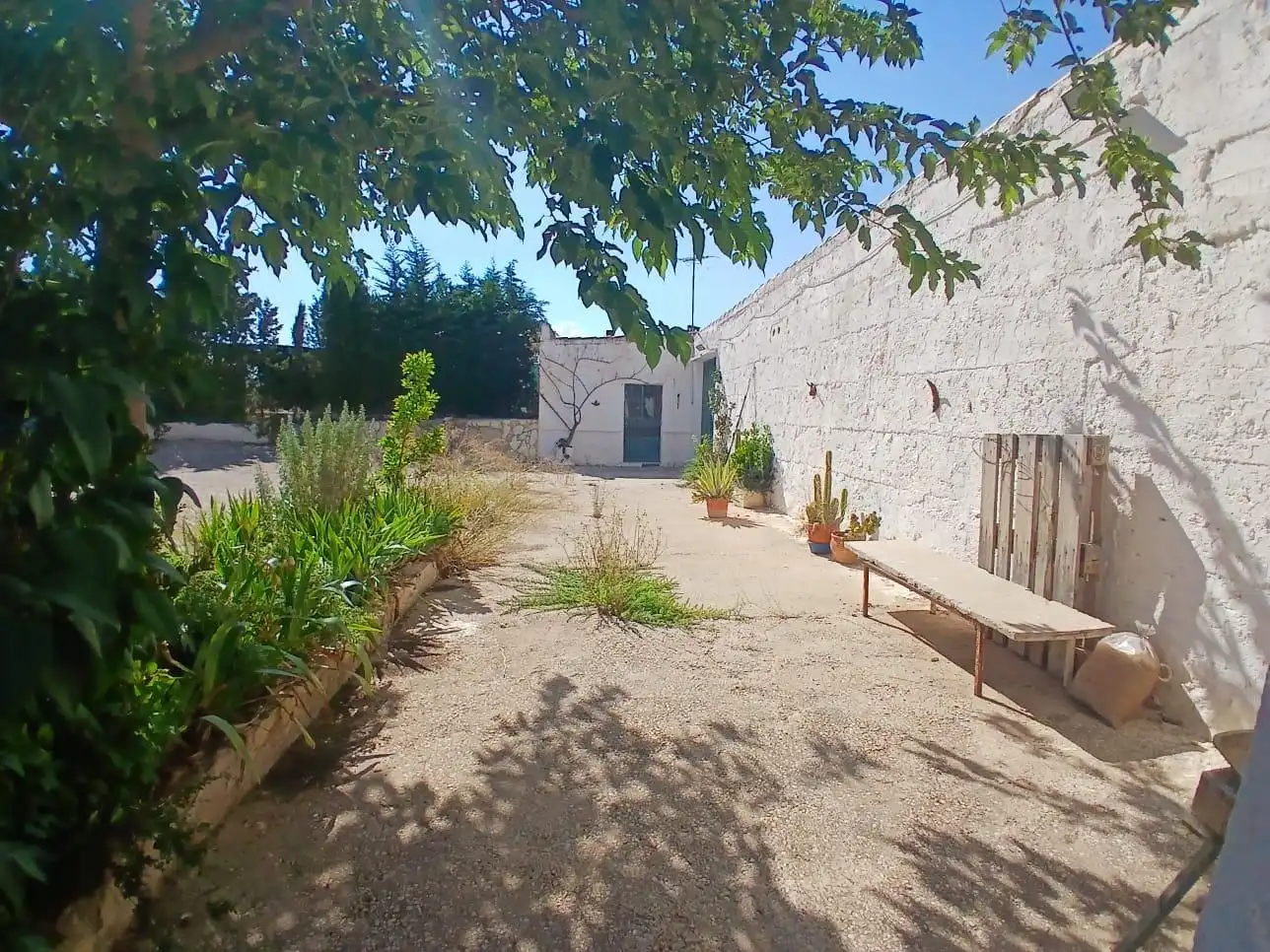 Jardí de Finca rústica en venda en Albacete amb Terrassa i Traster