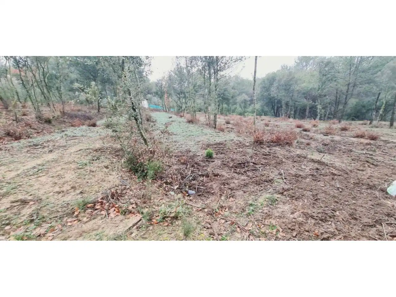 Rural land for sale in Lliçà d'Amunt, imagen 129