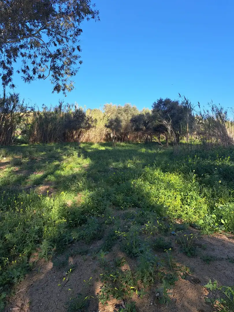 Grundstücke und Bauplätze zum Verkauf in Casalpalma - Fahala, imagen 10