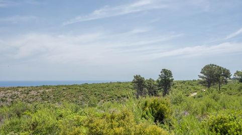 Foto 2 de Residencial en venta en Puerto, Jávea / Xàbia