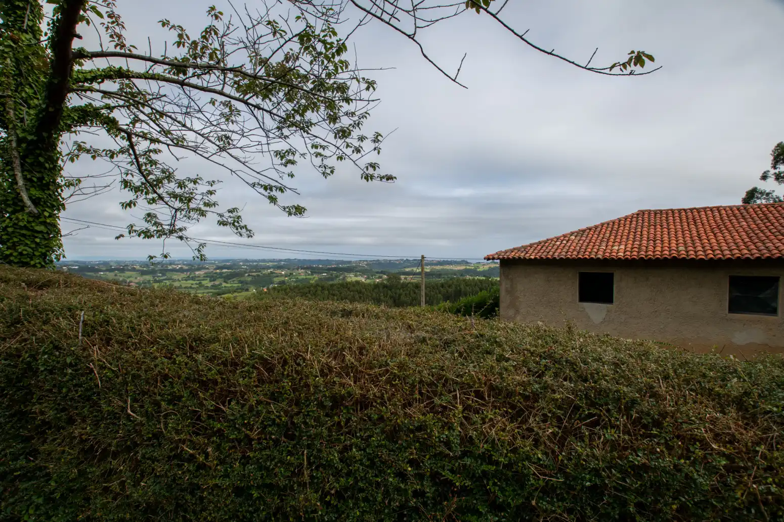 Houses for sale in Villaviciosa  with Private garden