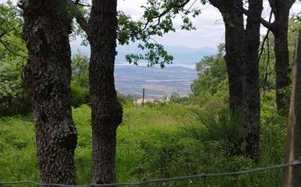 Foto 2 de Finca rústica en venda a Paraje Ortigalejo, Cabezabellosa, Cáceres
