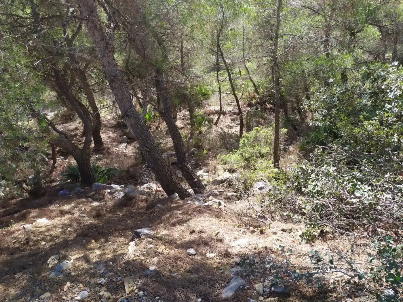 Terrenys i solars en venda a Canyelles, imagen 3
