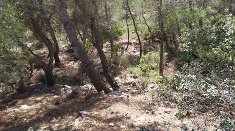 TERRENO EN LA COGULLADA CANYELLES, immagine 3
