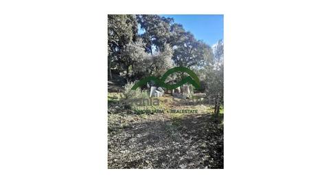 Photo 3 of Country house for sale in Genalguacil, Málaga