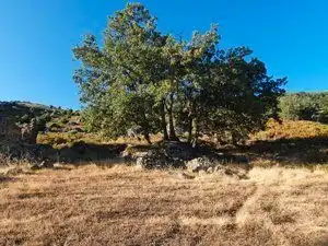 Terreni e lotti in vendita a Losar de la Vera, imagen 28
