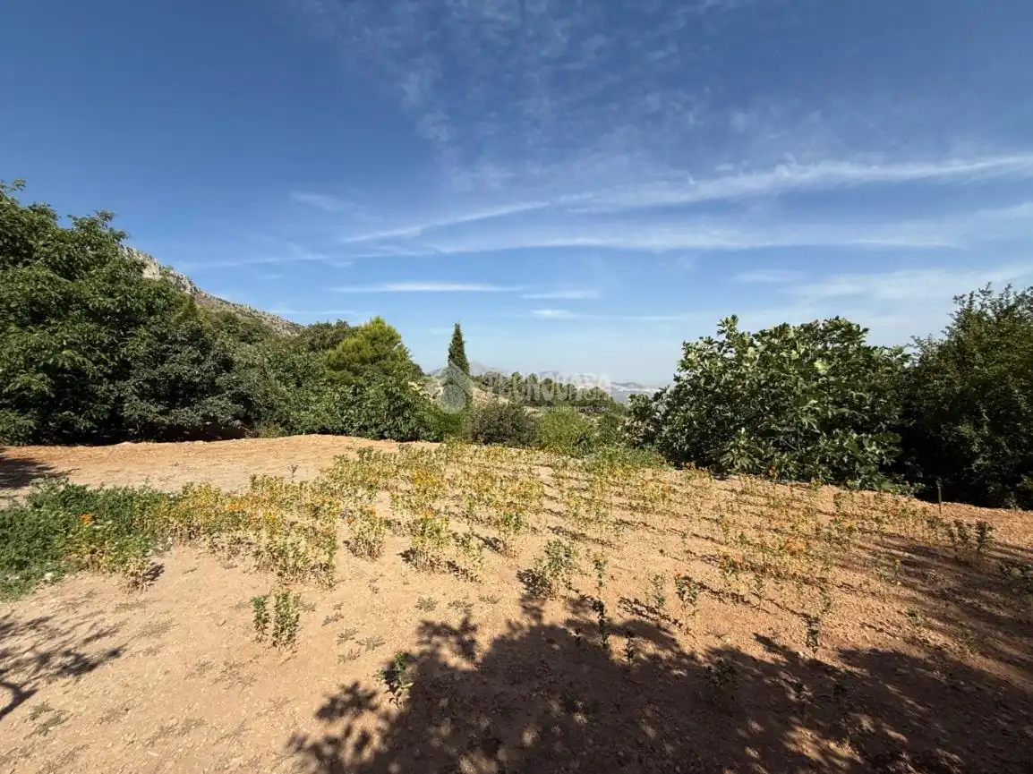 Finca rústica en venda en Jaén amb Jardí privat i Piscina