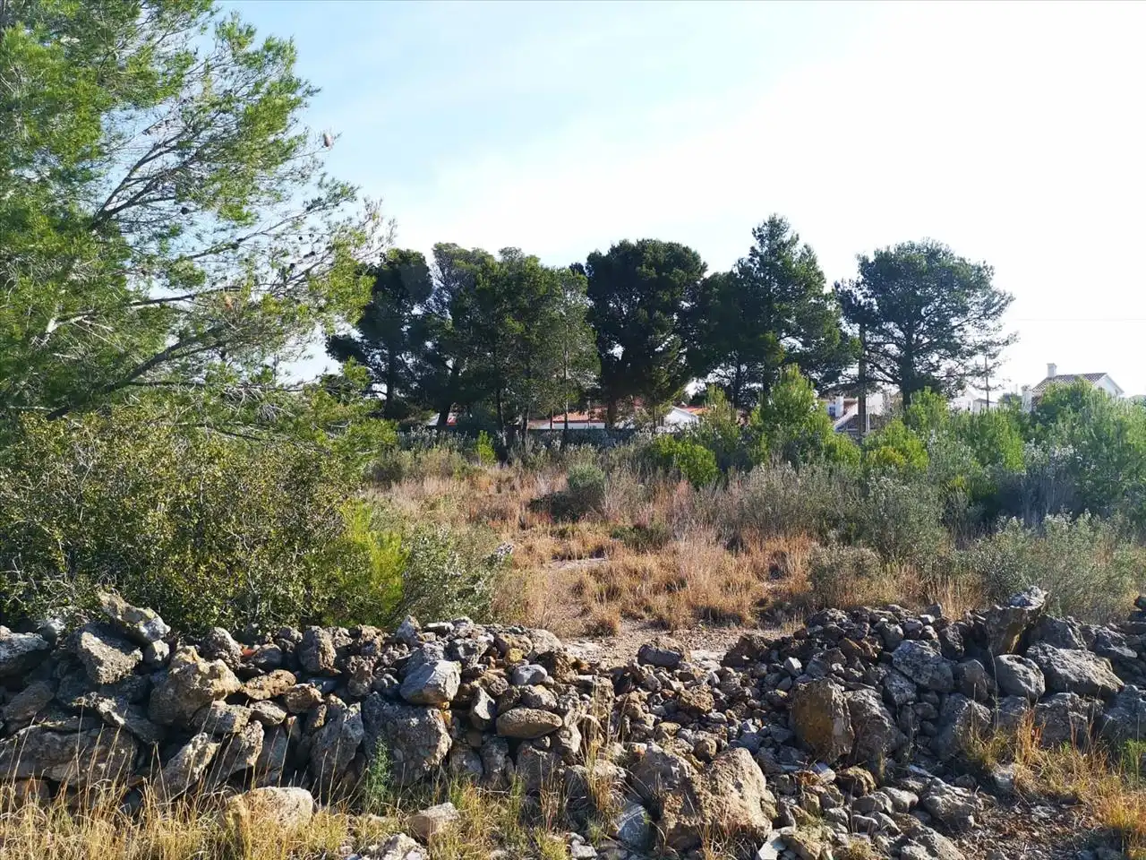Residential land for sale in DEU AMON-RA, imagen 17