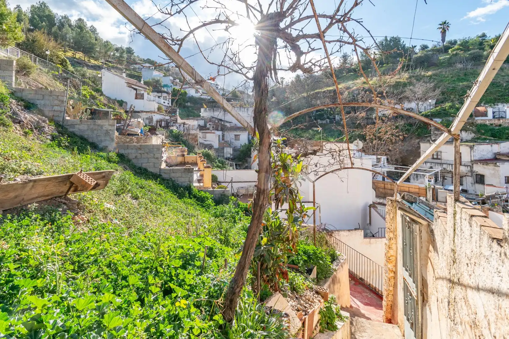 Vista exterior de Casa o chalet en venta en Granada con Jardín privado y Terraza