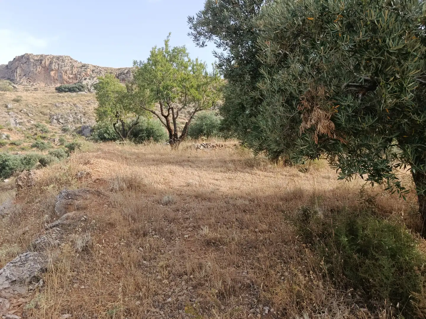 Terreni e lotti in vendita a Cogollos de la Vega, imagen 8