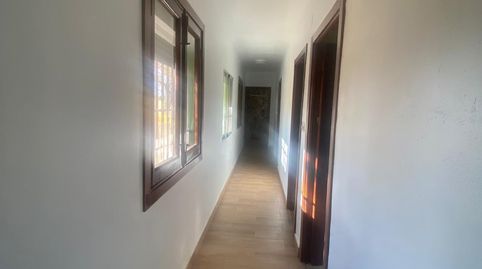Foto 4 de Finca rústica en venta en Centro, Mérida