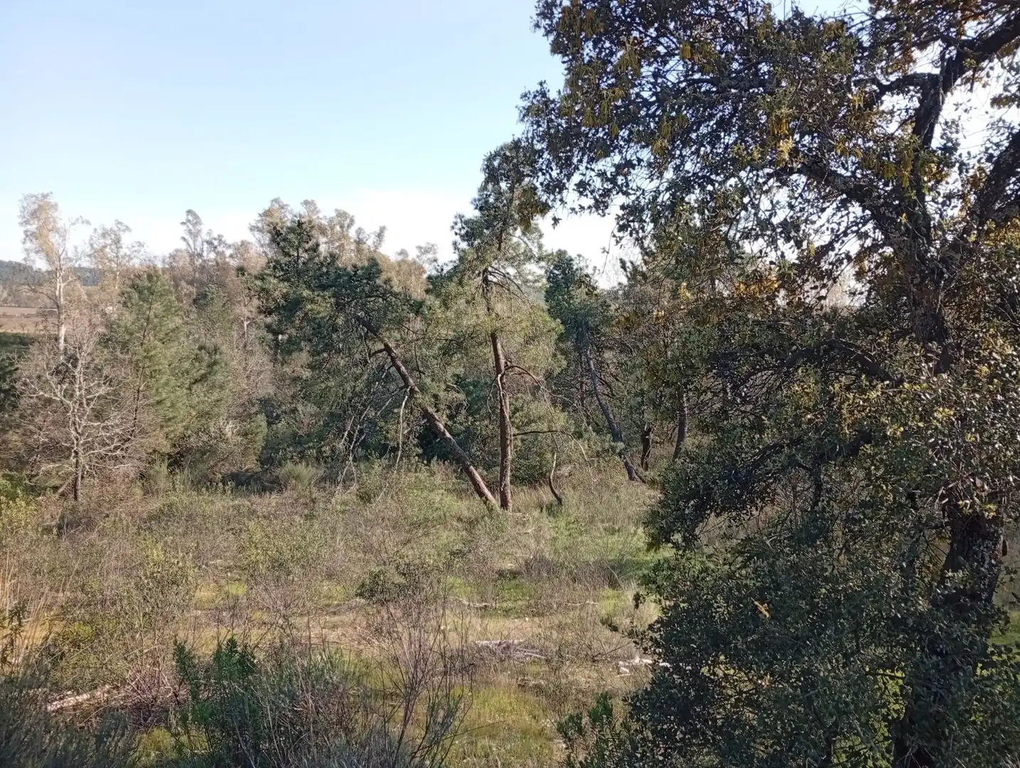 Terreni e lotti in vendita a Villanueva de la Vera, imagen 26