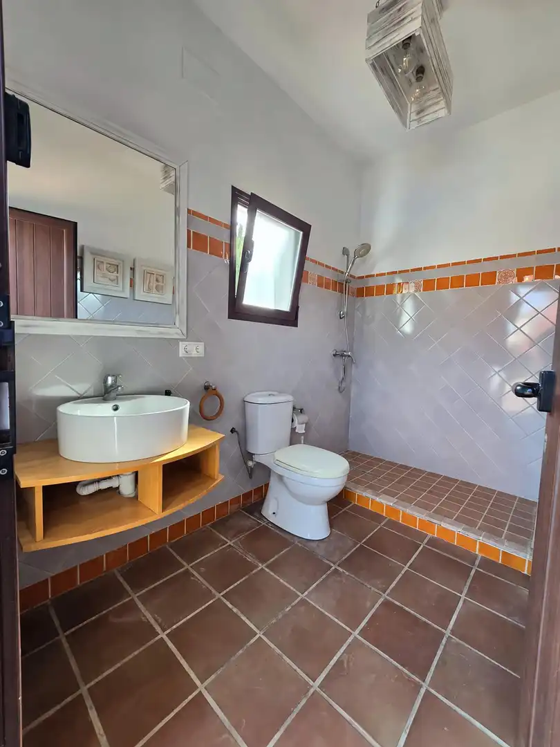 Chalet con piscina en venta en ENCINARES DE ALCOLEA, imagen 54
