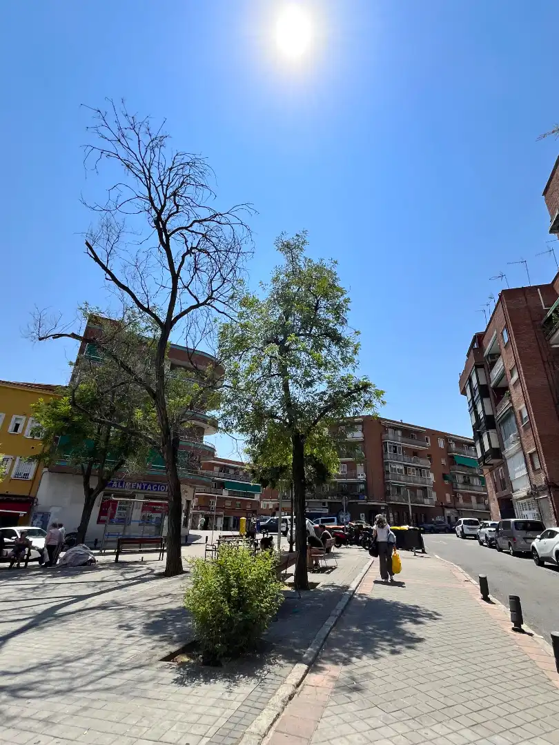 Pis de lloguer a Calle Agila, Puerta del Ángel