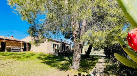 Foto 3 de Casa o xalet de lloguer a Carrer del Pou Comú, Establiments,  Palma de Mallorca