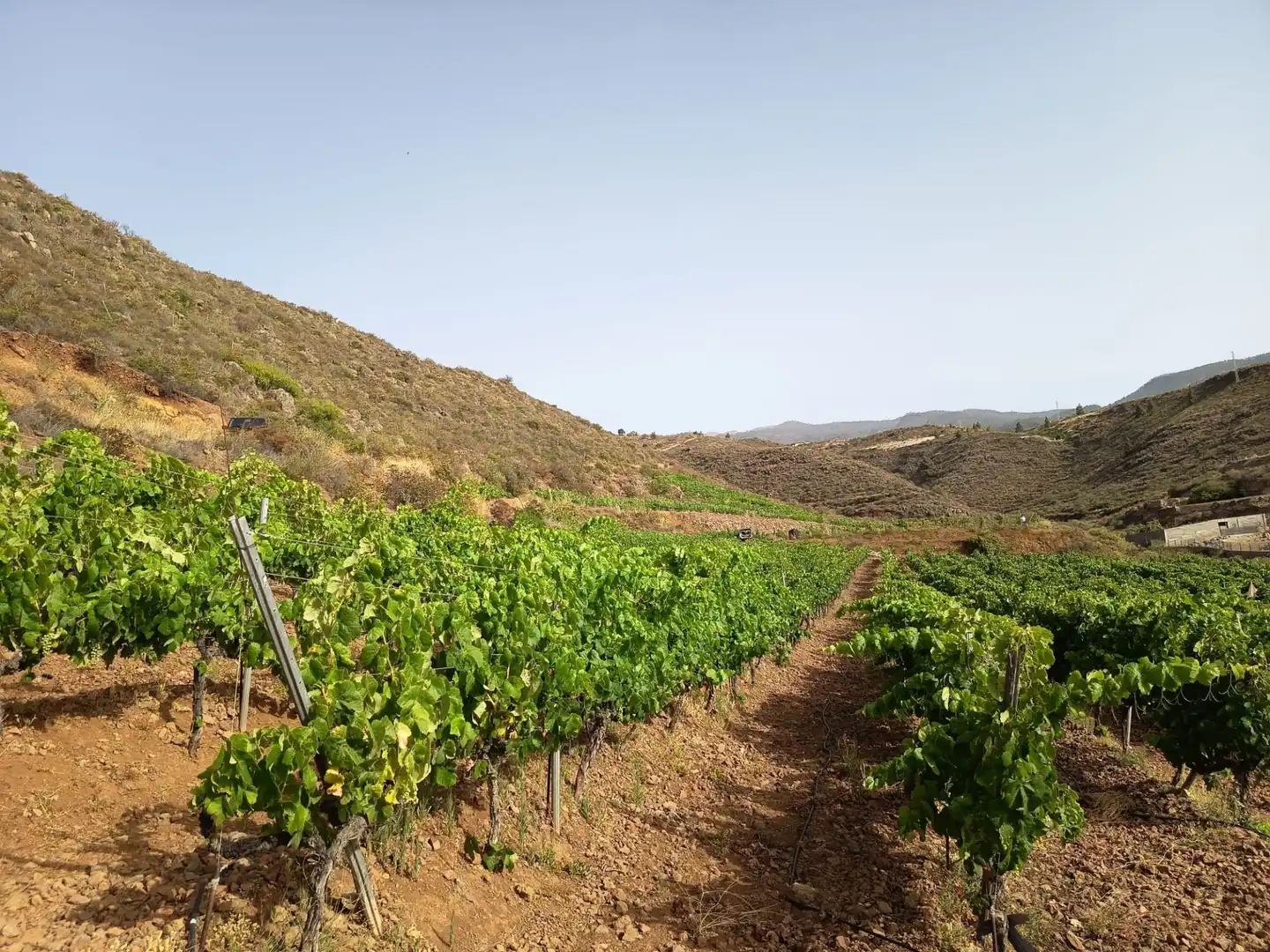 Terreno rustico in vendita a Arico, imagen 16