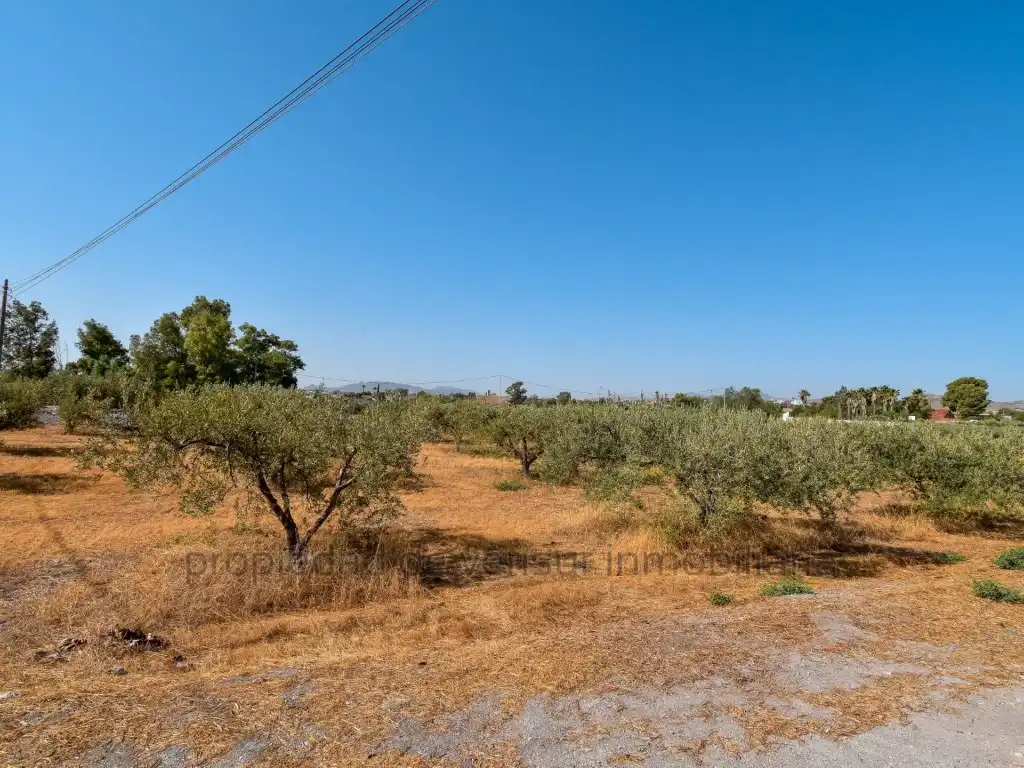 Rustikales Grundstück zum Verkauf in Pedanías Centro, imagen 2