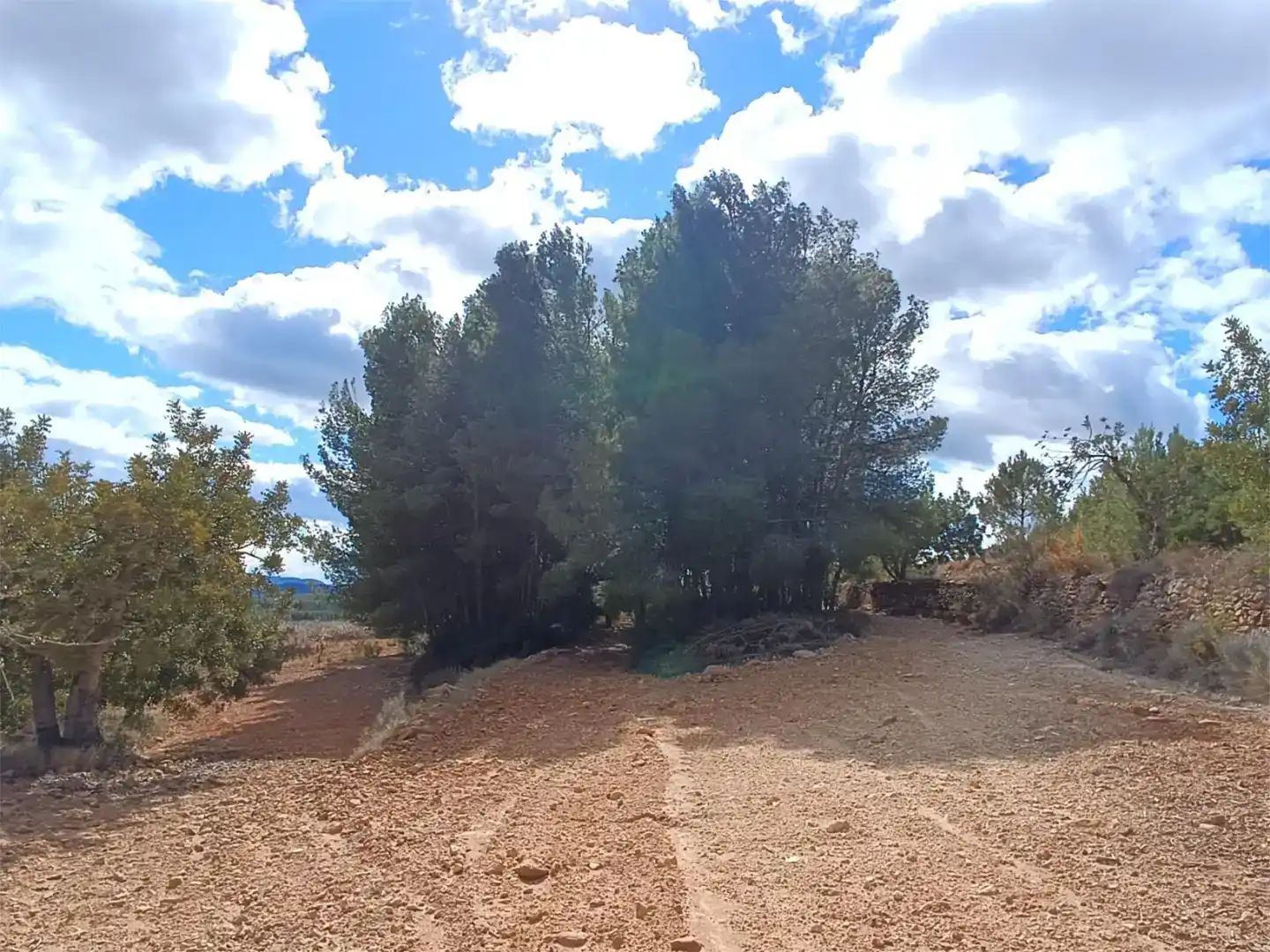 Land for sale in Useras /  Les Useres