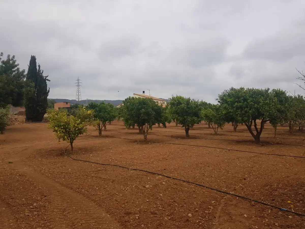 Finca rústica en venda en Roda de Berà amb Aire condicionat, Calefacció i Jardí privat