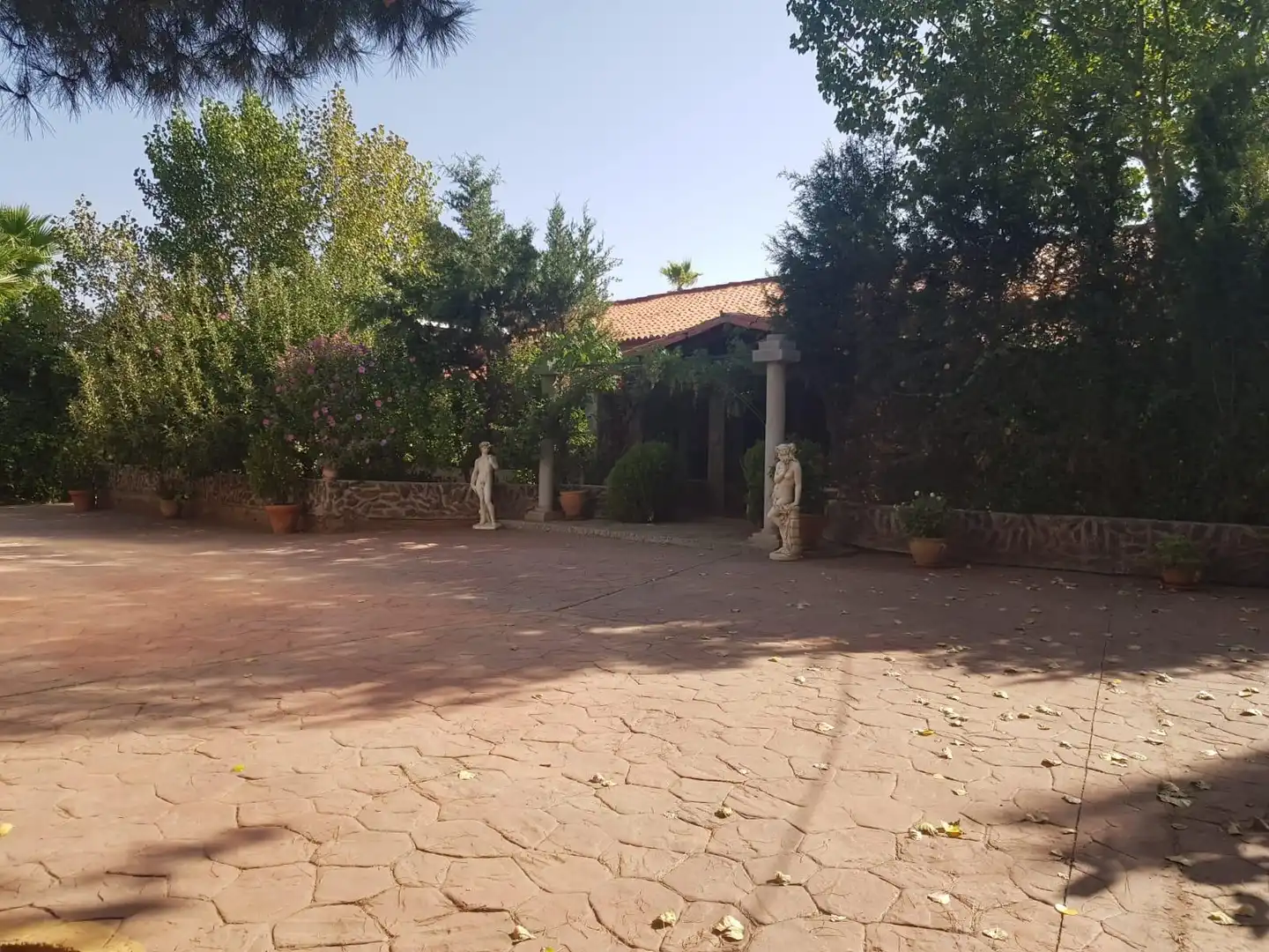 Jardín de Finca rústica en venta en Santa Cruz de Mudela