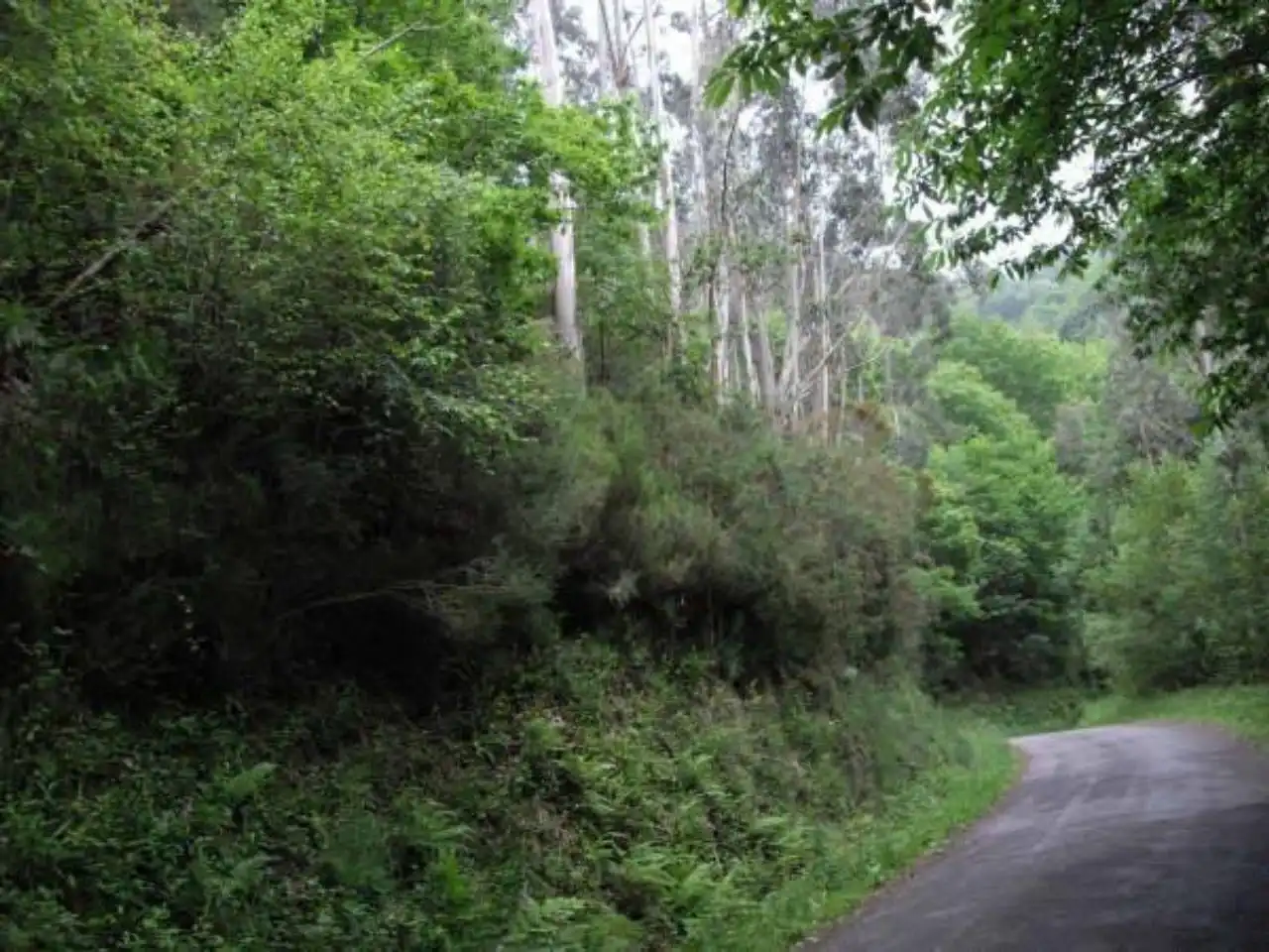 Terreny rústic en venda a Valdés - Luarca