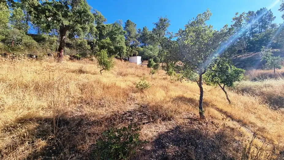 Terreni e lotti in vendita a Campofrío, imagen 15
