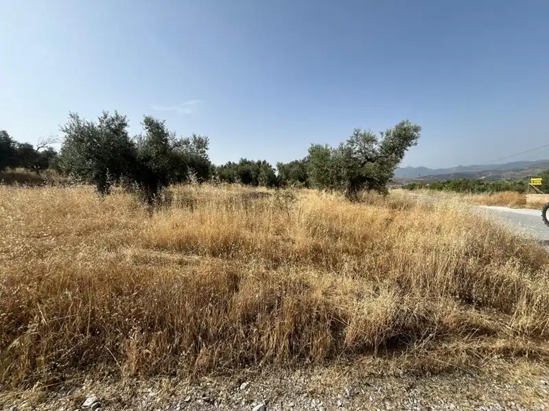 Rural land for sale in Dúrcal, imagen 5