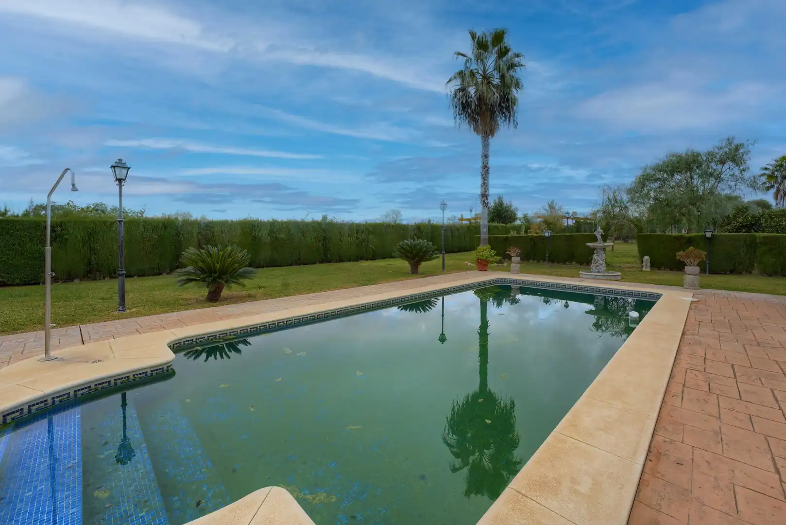 Swimming pool of Country homes for sale in Pilas  with Private garden, Terrace and Swimming Pool