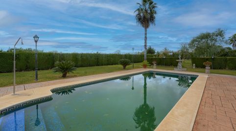 Foto 4 de Finca rústica en venta en Carretera Villamanrique,la Vereda 27, Pilas, Sevilla