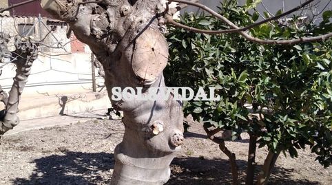 Foto 5 de Casa o chalet en venta en Orihuela ciudad, Orihuela