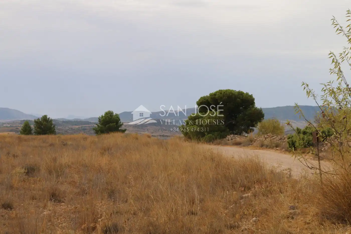 Rustikales Grundstück zum Verkauf in Jumilla, imagen 7