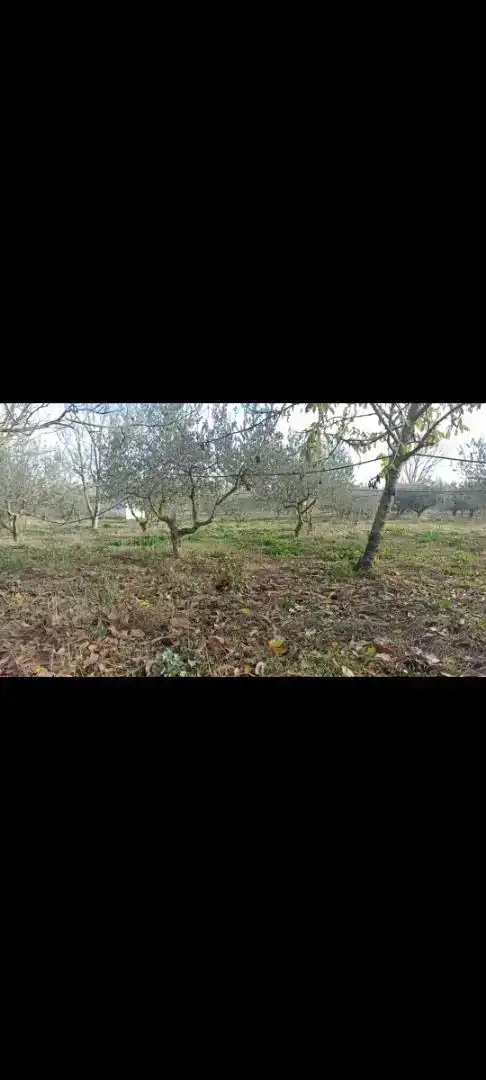 Terreno en venta en Pitillas