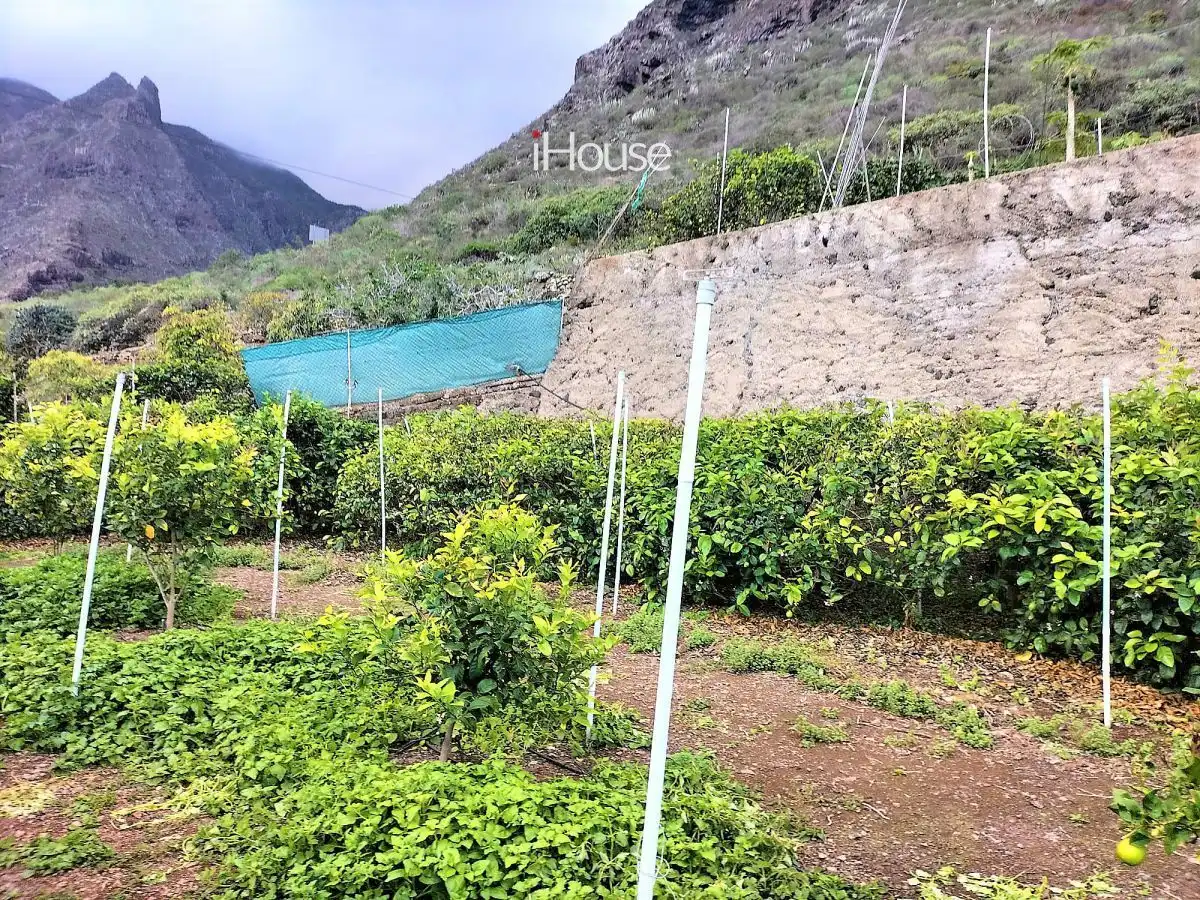 Terreno en venta en PUNTA DE TENO, Buenavista del Norte
