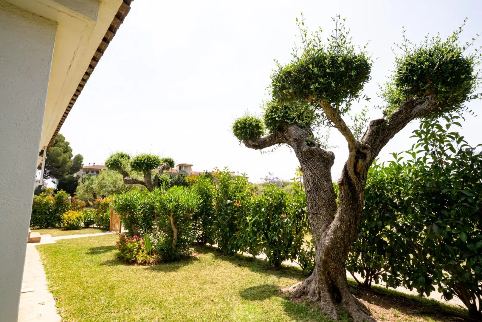 Detached house with pool for sale in Vilafortuny - Cap de Sant Pere, imagen 42