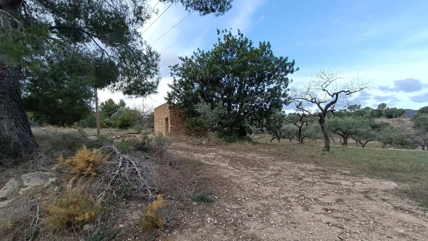 Terrain rustique à vendre à Rasquera, imagen 4