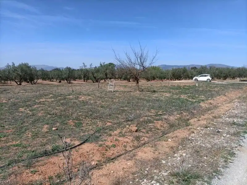 Casa rústica en venda a Albolote, imagen 17